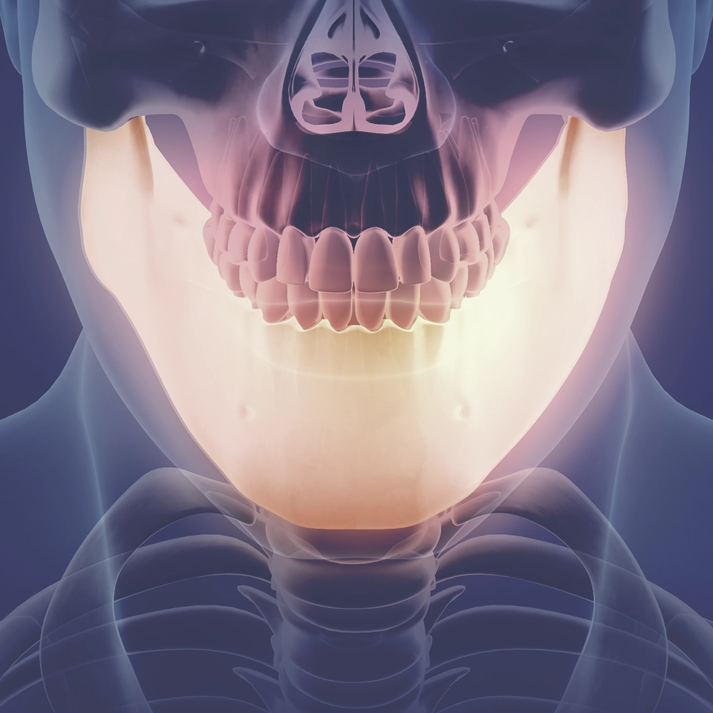 Anatomical illustration showing a transparent human skull with a detailed focus on the teeth, highlighted by a subtle glow, emphasizing the dental structure and health in medical imaging.