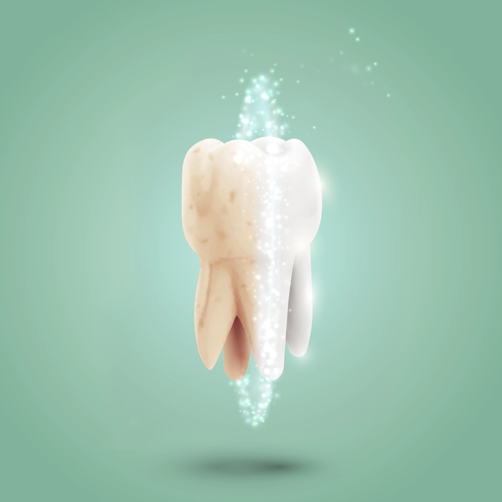 A tooth, depicted with a sparkling clean effect, floats against a soft green background, symbolizing cleanliness and dental health